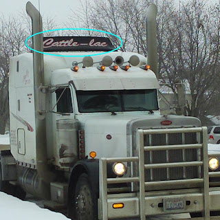 Truck labelled 'Cattle-lac'