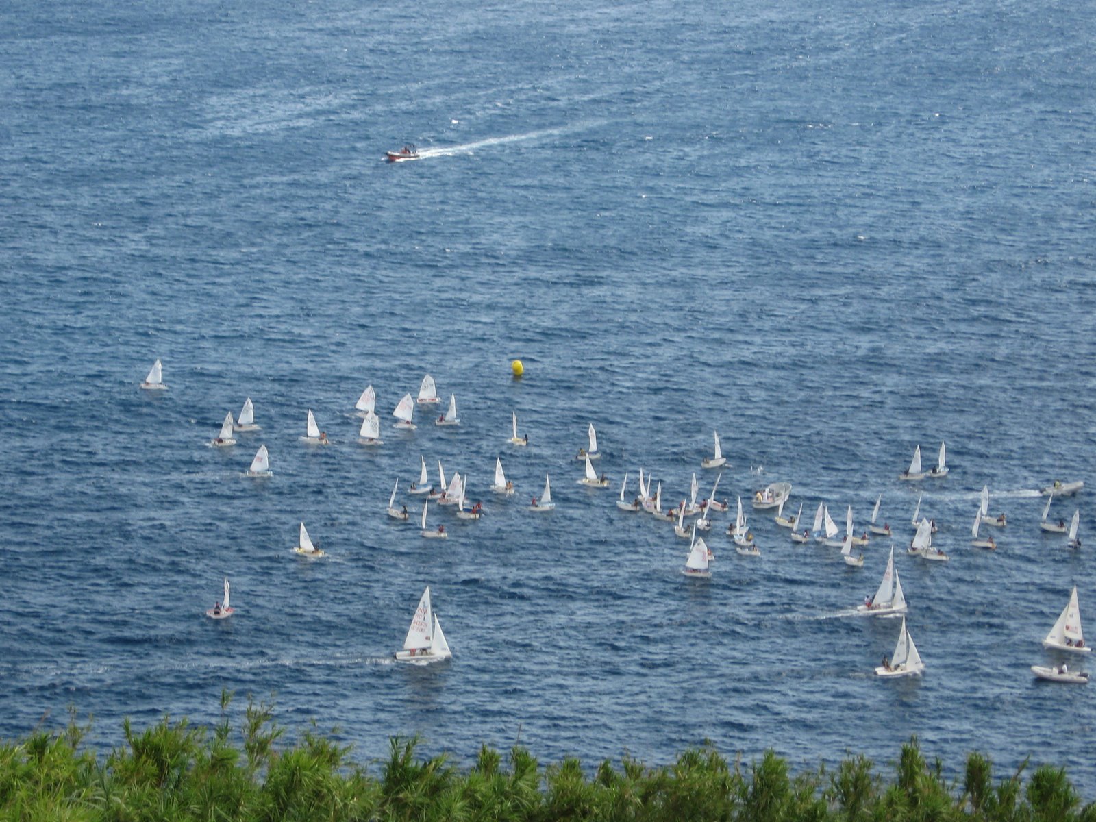 [seaweek08_136.JPG]