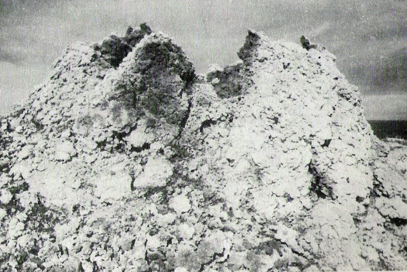 [set08+2.jpg]