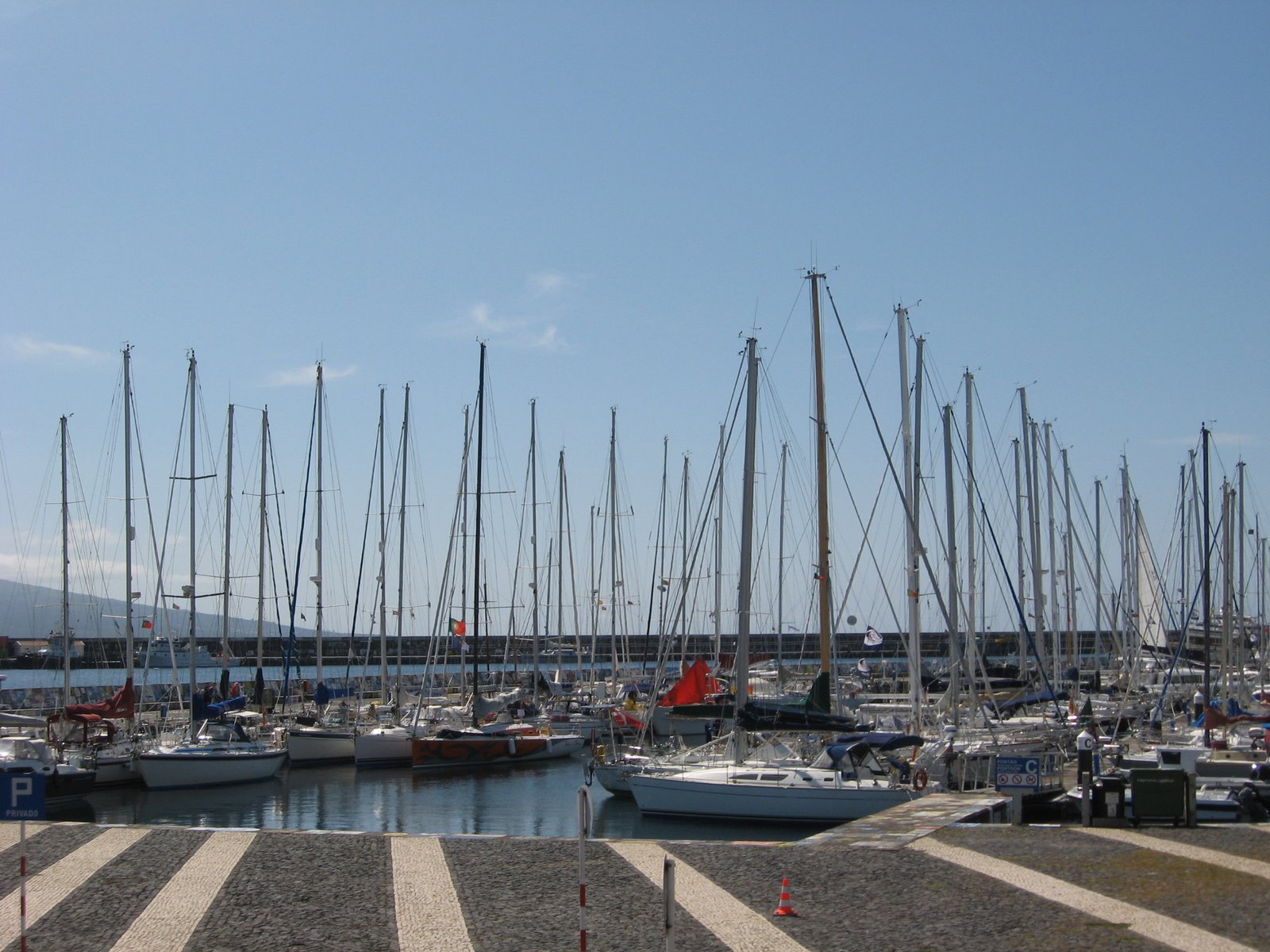 [marinatorrinhas_003.JPG]