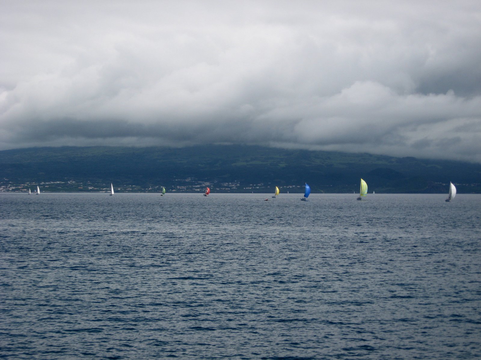 [seaweek_149.JPG]