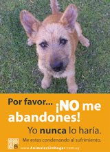 NO LO ABANDONES