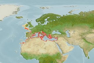 [dentao+map.jpg]