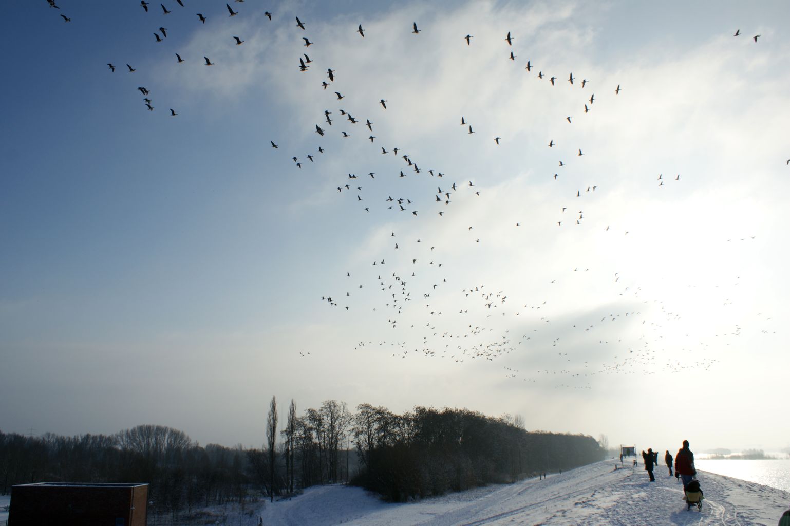 [DSC07208.JPG]