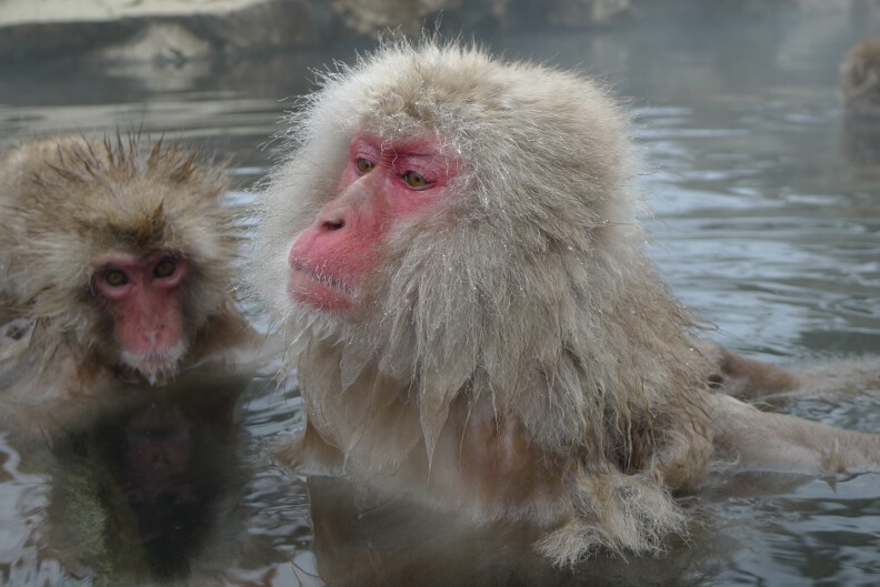 [JAPANP1020003.jpg]
