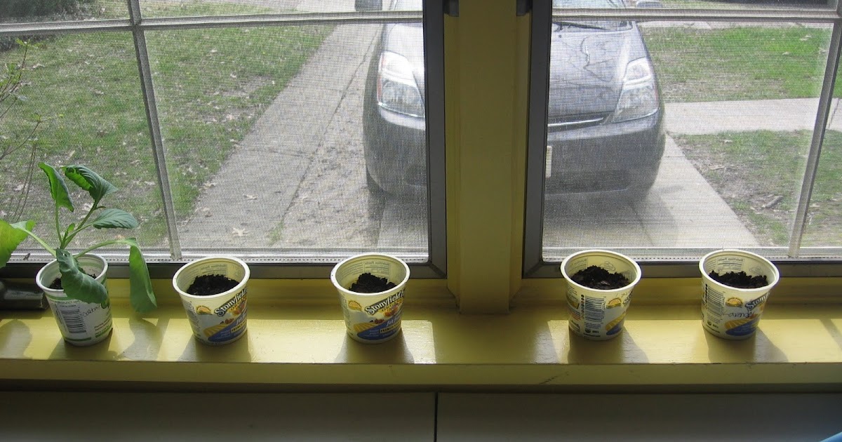 A Little Greener Every Day Recycling Yogurt Containers What are the