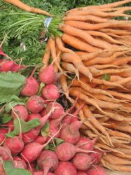 [carrots+and+radishes.jpg]