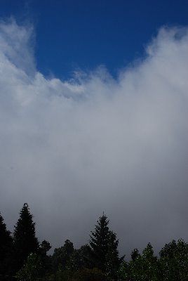 [DSC_0054.JPG]