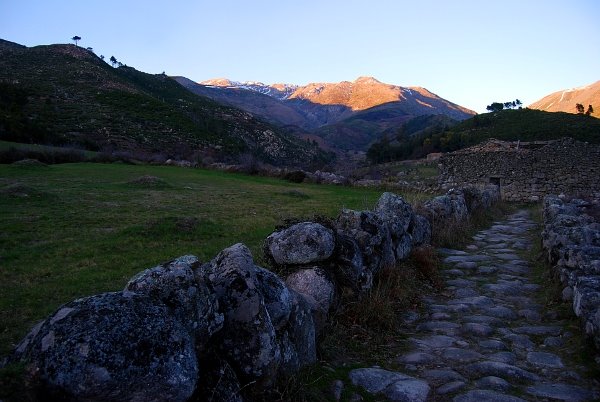 [DSC_0005.JPG]