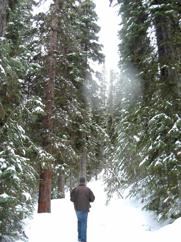 [trail0001.JPG]