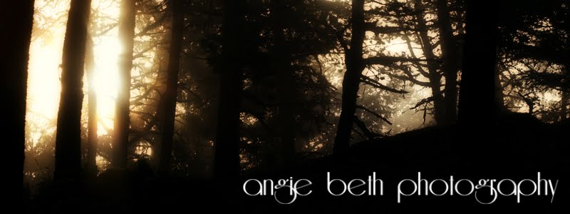 Angie Beth Photography