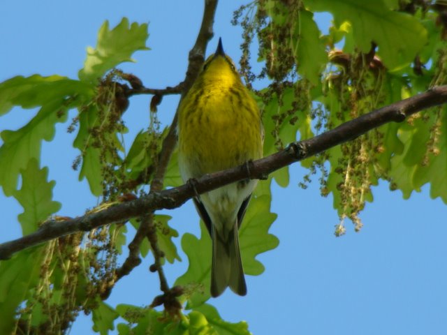 [DSC09636.JPG]