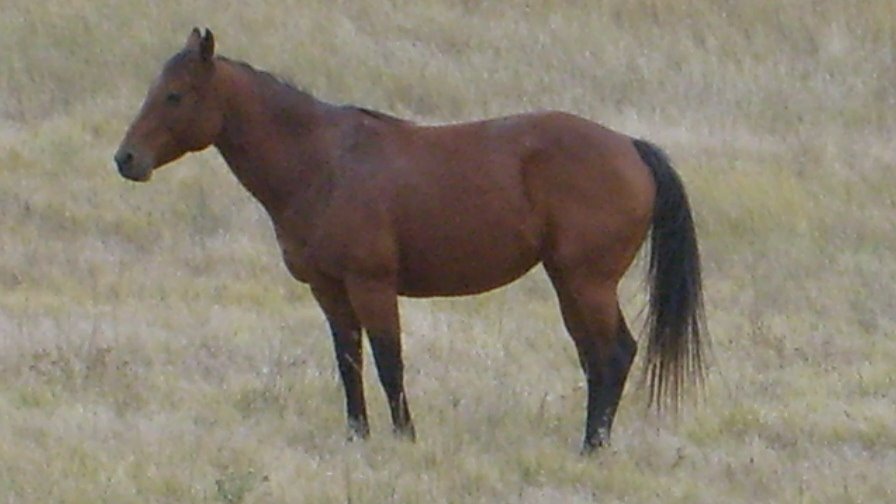 [S6304464.JPG]