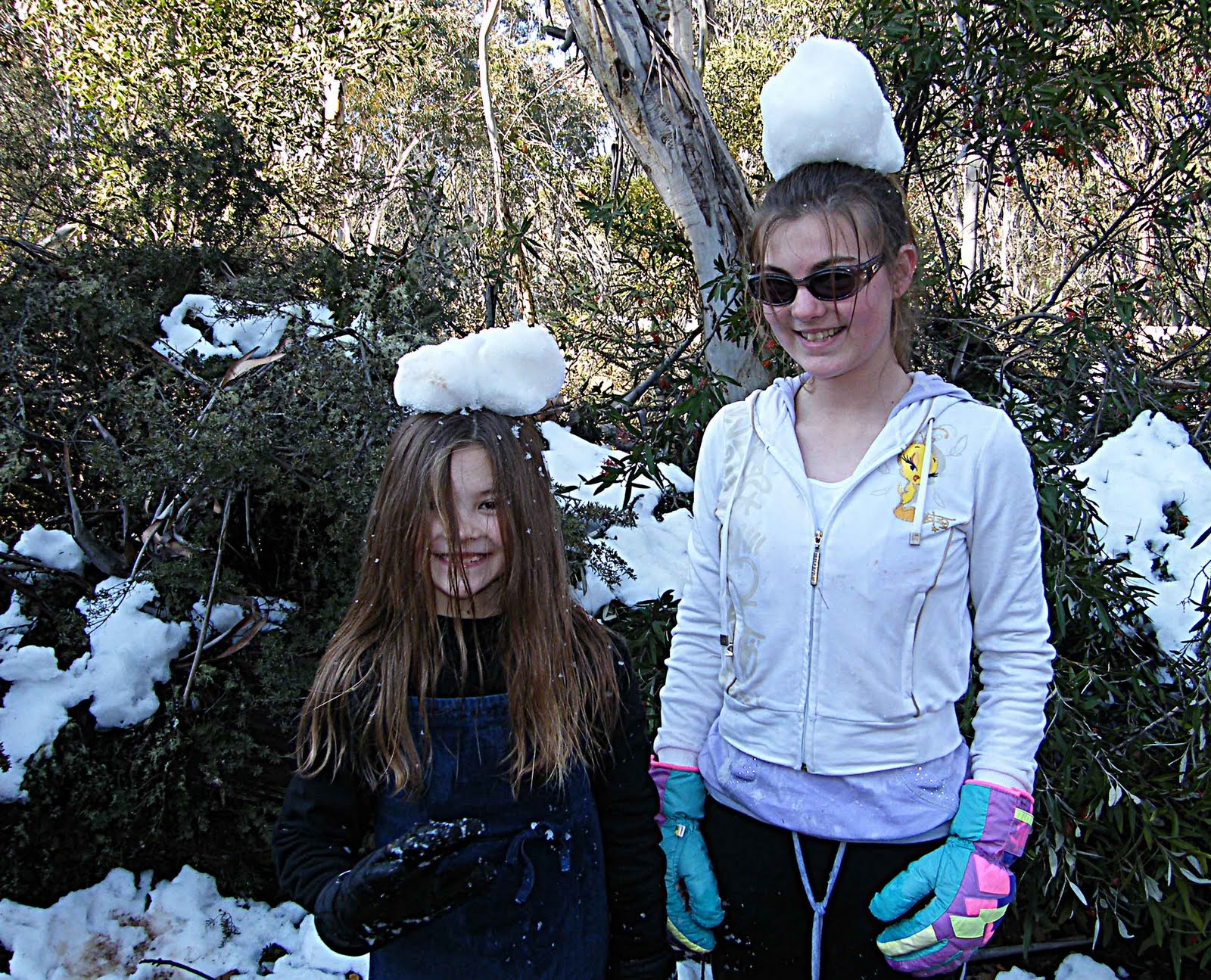 Snow Chunks