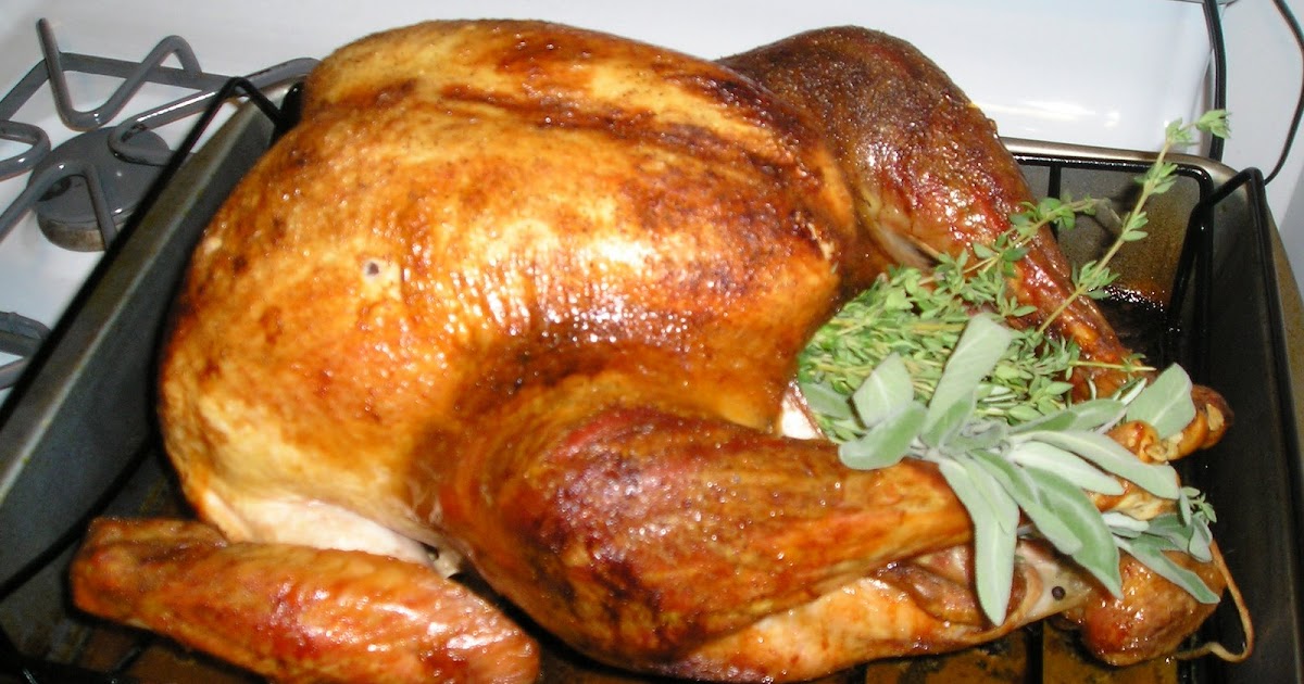 Good Eats Roast Turkey Edesia's Notebook