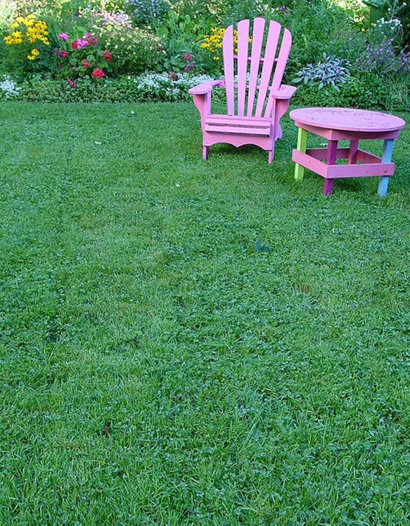 Green T Environmental Awareness Overseeding with clover