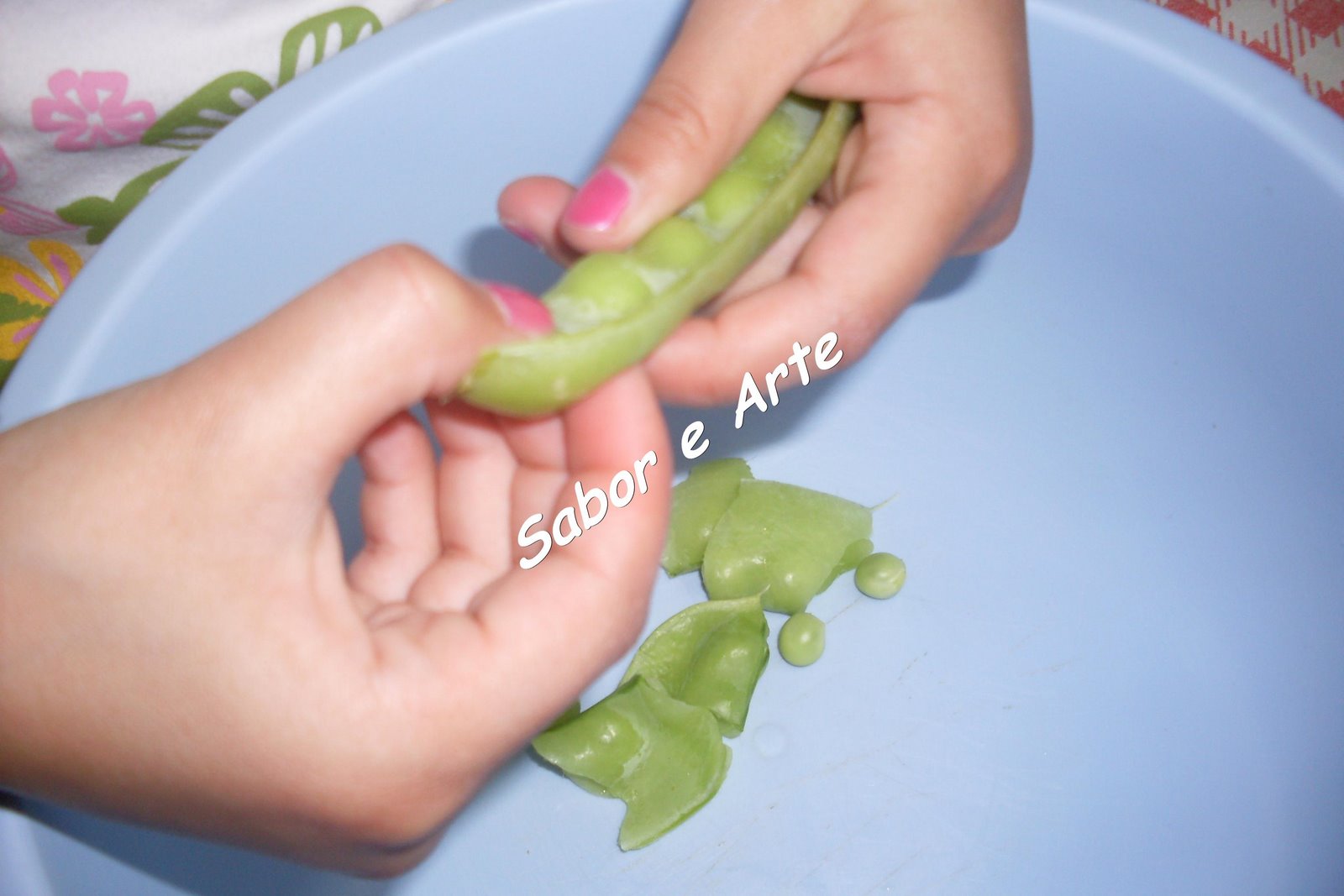 [SDC12248_final.JPG]