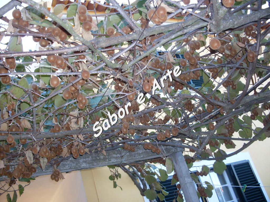 [SDC14530_final.JPG]