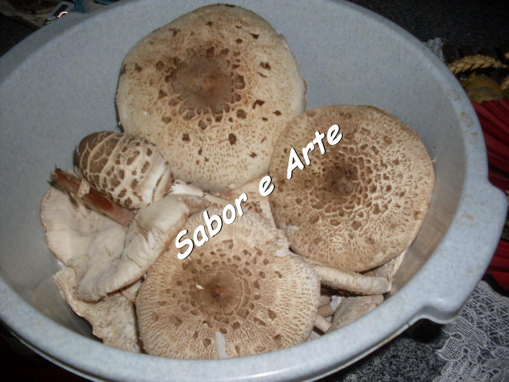 [SDC14625_final.JPG]