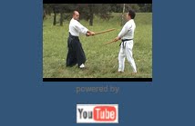 Buki Waza: programma tecnico