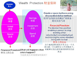 WEALTH PROTECTION 财富保障