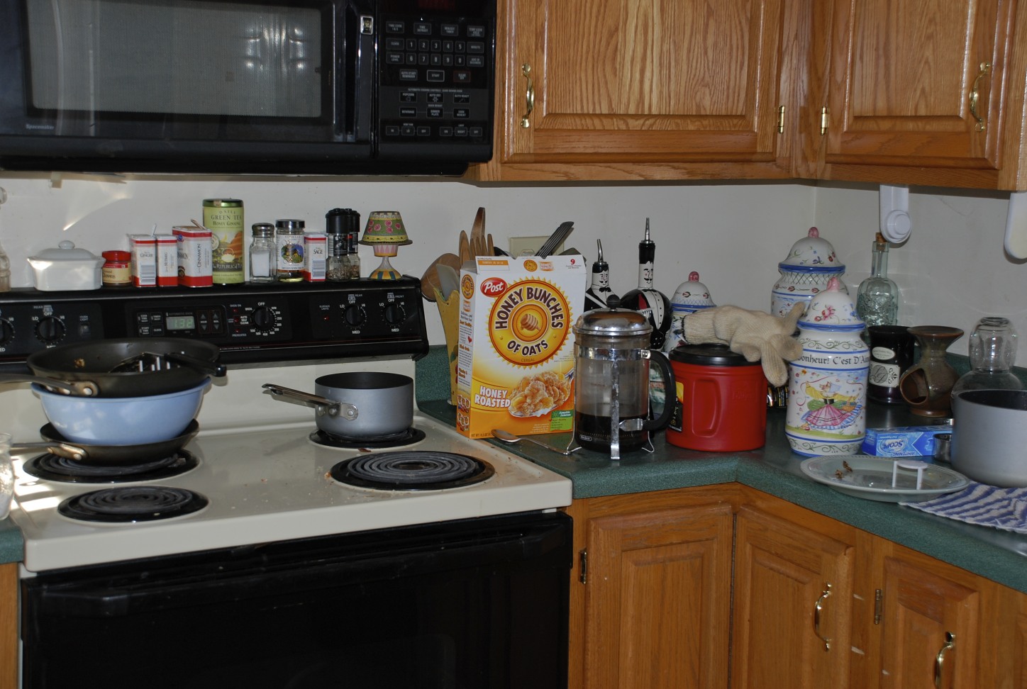 [DSC_0031.jpg]