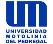 UNIVERSIDAD MOTOLINÍA DEL PEDREGAL