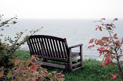 Solitude in Saugatuck