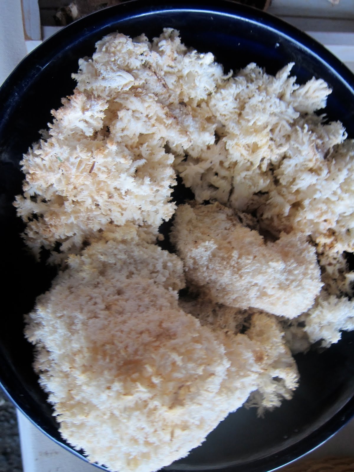 Grill A Chef A Pig Ear by any other name