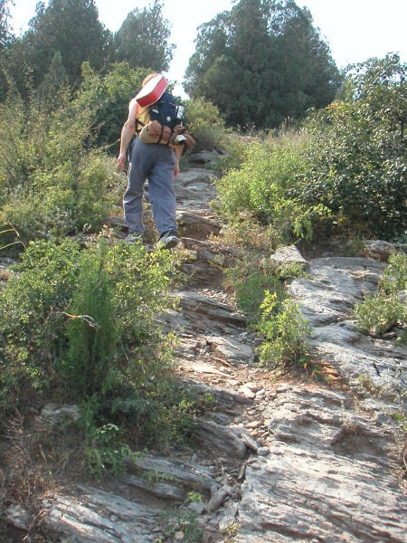 [up_climb_EK.jpg]
