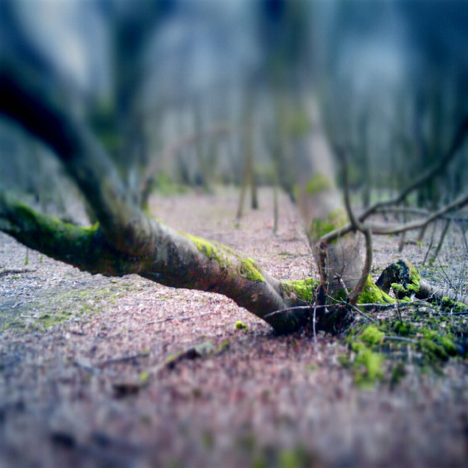 Vignette App