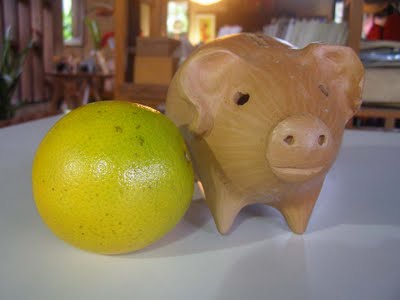 [LEITÃO+COM+LARANJA]