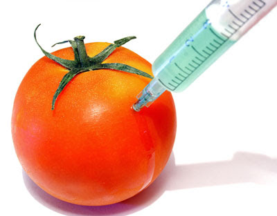 genetically-modified-foods.jpg