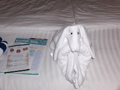 ainmal towel dog on a cruise boat