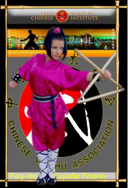 Clases de Kung Fu  Wushu Artes Marciales China