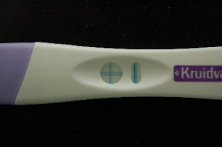 [Afbeelding: Herschaalde+kopie+van+DSC_2617.jpg]