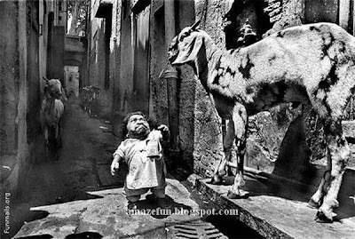 Extreme [ Humans + Creativities + Secrets ] Gul Mohammed is the man