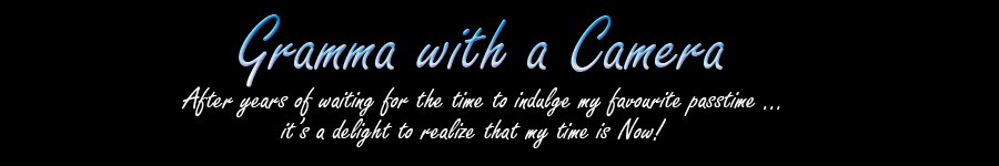 My Prairie Blog