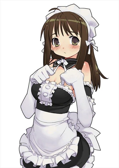 [maidPicture.jpg]