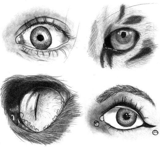 [eyes_small1.jpg]