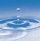 The Ripple Effect