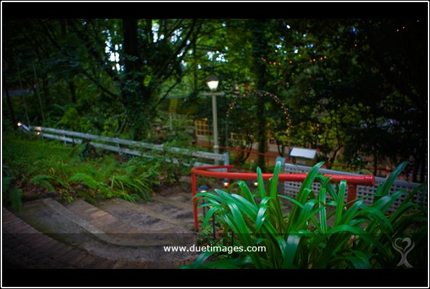 [DuetImagesBlogChuringa10.jpg]