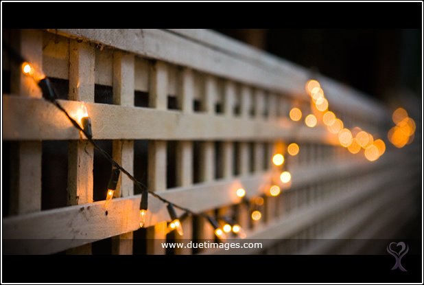 [DuetImagesBlogChuringa06.jpg]