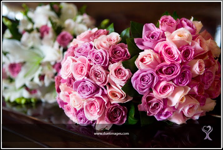 [DuetImagesBlogFG52.jpg]