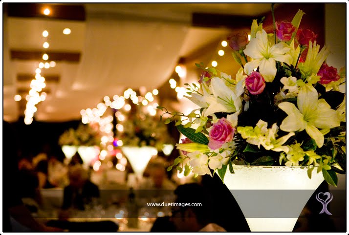 [DuetImagesBlogFG46.jpg]