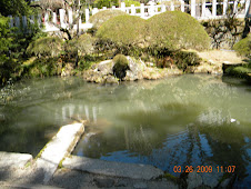 Pond on Sacred Ground