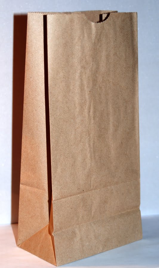 TracyZcrafts recycled paper bags