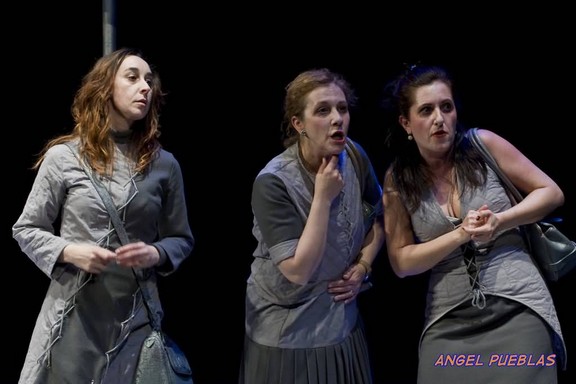 [27ef52fdd3c4fc75f8d54c3a4d21d70b_0_576x576_maru-jasp-con-direccion-gritadero-en-chinchon-10.jpg]