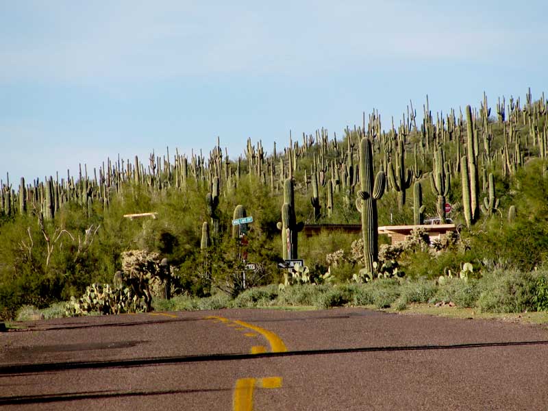 [2009-02-25-Jeff-&-018blg.jpg]