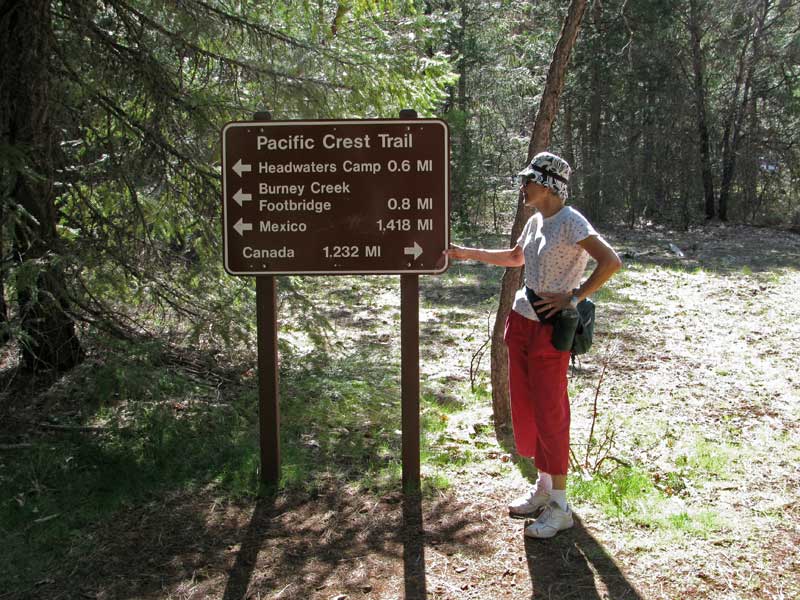 [Burney-Falls-24blg.jpg]